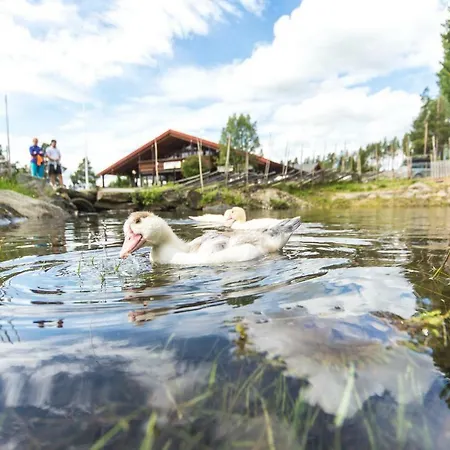 Ostello Dombas Hostel Dombås