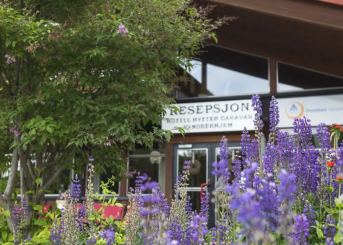 Dombas Hostel Hostal