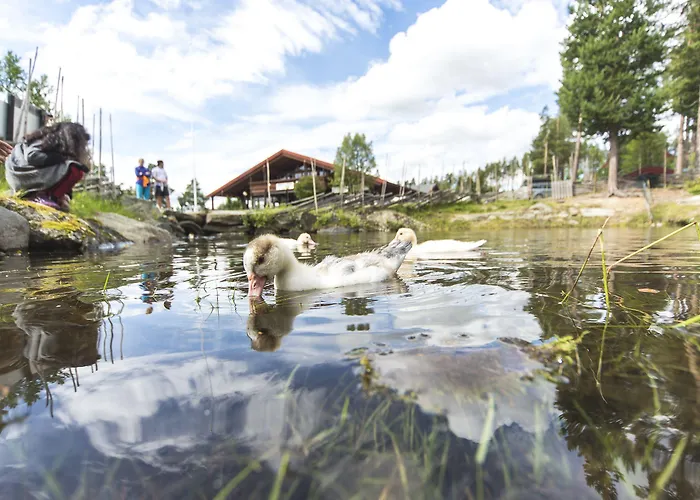 Vandrarhem Dombås Hostel Dombås