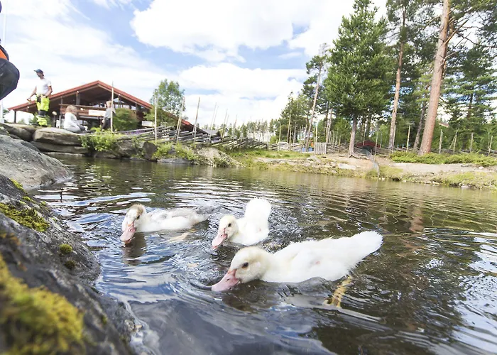 Dombas Hostel * Dombås
