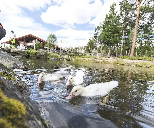 Vandrarhem Dombås Hostel