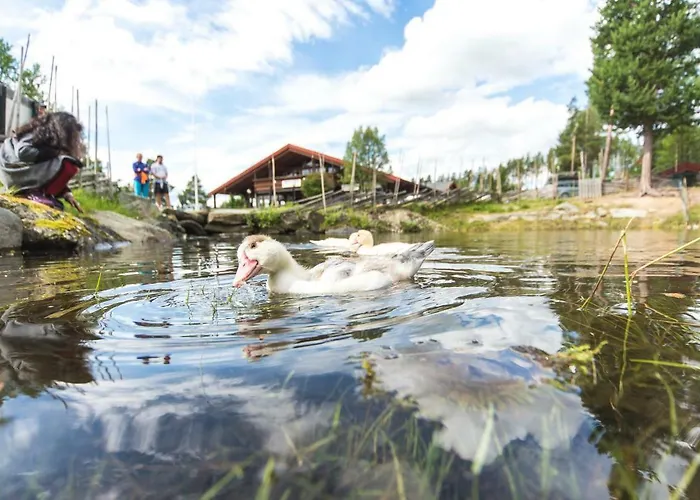 Vandrarhem Dombås Hostel Dombås